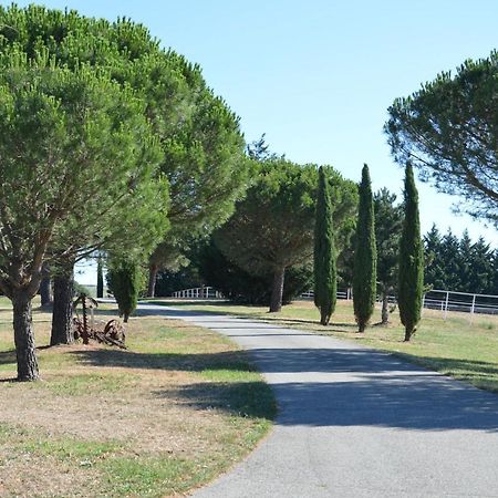 Les Moineaux Du Domaine Du Moulin Villa Etables  Bagian luar foto